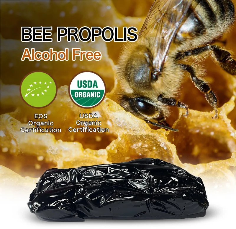 Beehall Organic Food Factory High Quality Organic Bulk Propolis Cream