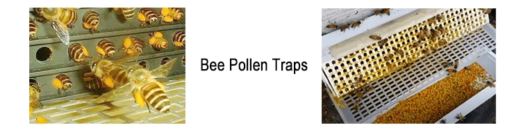 Beehall Bee Products Supplier Nop EOS Certificates Wholesale Bee Pollen