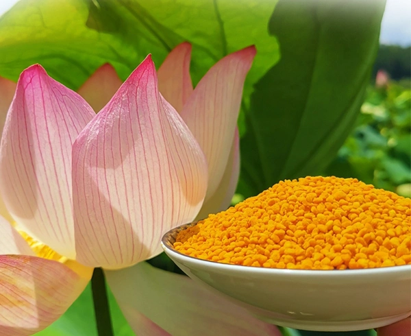 Beehall Health Products Manufacturer Custom Logo Bulk Lotus Bee Pollen